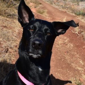 Meet your Posher, Jeremy